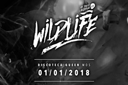 Wildlife inaugura 2018 com 15 horas de puro Techno na Queen de Pontevedra