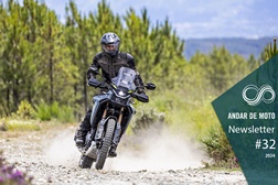 Newsletter nº 32/2024 - 13 de Agosto de 2024