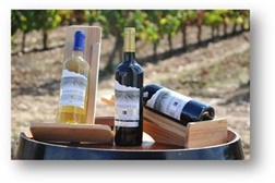 Mais vinhos estremocenses premiados