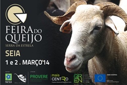 Doçaria a concurso na Feira do Queijo de Seia