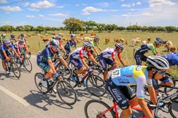 Agenda de Ciclismo (29 e 30 de maio de 2021)