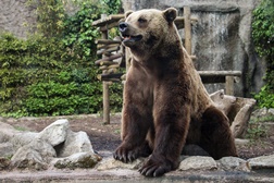 Zoo da Maia reabre com medidas de segurança reforçadas