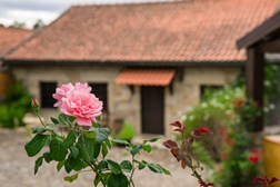Casa das Infusões - O novo alojamento local de Melgaço
