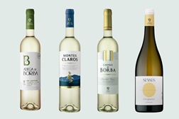 Adega de Borba propõe quatro brancos para os dias de verão - À mesa com perfis frescos, frutados e versáteis, pensados para acompanhar os sabores da estação
