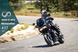 Newsletter nº 37/2025 - 16 de Setembro de 2025