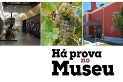 Há Prova no Museu do Vinho e da Vinha de Bucelas