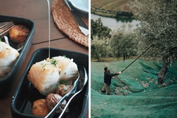 Cantina de Ventozelo lança menu dedicado ao azeite novo e à apanha da azeitona