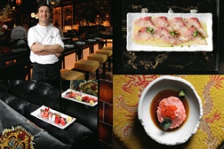JNcQUOI Asia eleva a experiência de Sushi em Lisboa com apresentação de novo Chef e nova carta - Com especial destaque para a riqueza dos peixes portugueses