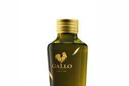 gallo Azeite Novo 2016-2017