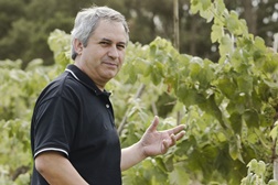 Produtores e vinhos da Bairrada fazem "brilharete" nos prémios Wine - A Essência do Vinho