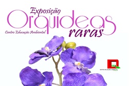 Centro de Educação Ambiental de Marinhas acolhe Exposição de Orquídeas Raras