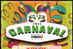 Desfile de Carnaval 2015: Avis convida para a Festa