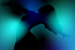 Inshadow leva documentário e vídeo-dança aos espaços culturais de lisboa - Avançam as competições Internacionais de Documentário e Vídeo-Dança