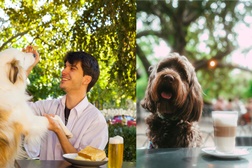 No Dia Mundial do Cão, a Esplanada Príncipe Real junta-se à Sancho Pancho para oferecer snacks a todos os patudos