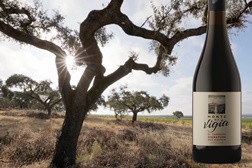 Parras Wines apresenta Monte da Vigia Signature 2023 - Expressão autêntica e sustentável de um Alentejo intenso e frutado