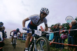 David Rosa