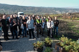 Mil árvores plantadas em Vila Pouca de Aguiar