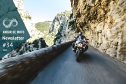 Newsletter nº 34/2025 - 26 de Agosto de 2025