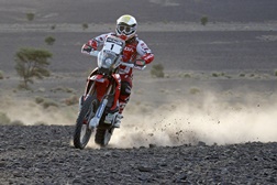 Paulo Gonçalves