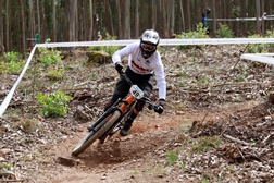 José Borges