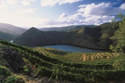 Symington Family Estates lança vinho Comboio do Vesuvio