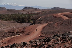 Próxima paragem: (A definir)
