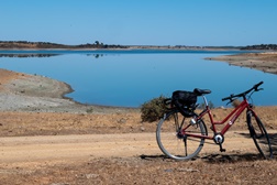 Festival Andanças 2023 - Abraçar o interior do Alentejo - Decorre de 27 a 30 de julho em Campinho, Reguengos de Monsaraz