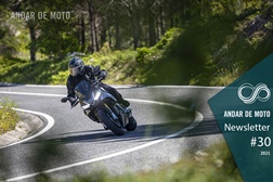 Newsletter nº 30/2021 - 27 de Julho de 2021