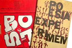 Rui Torres fala sobre "Verbivocovisual: Poesia Experimental Portuguesa"  na ZDB