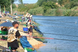 Pesca Desportiva: Mora acolhe em 2015 Mundiais de Veteranos e de Pescadores Portatores de Deficiência