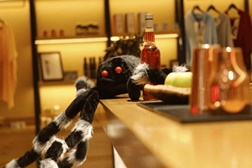 Halloween com casa assombrada e festa de máscaras no Octant Évora  - Um fim de semana prolongado assustadoramente divertido