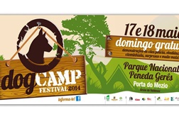 Porta do Mezio acolhe o I DOG CAMP FESTIVAL
