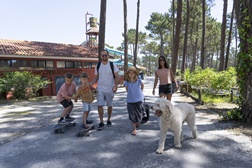 Ohai Nazaré convida os animais a passarem férias com a família