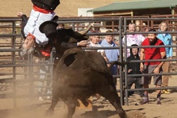 Jackass para Sempre