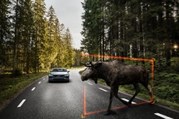 Volvo abre processo de recrutamento para engenheiros  