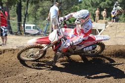 Pedro Carvalho