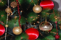 Celebrar o Natal nos Parques e Monumentos de Sintra