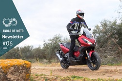 Newsletter nº 06/2022 - 08 de Fevereiro de 2022