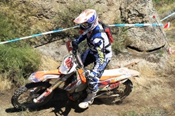 Fausto Mota