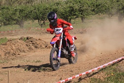 Goncalo Amaral