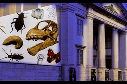  Ciclo Museu Concerto- Uma experiência museológica na Rota das Artes