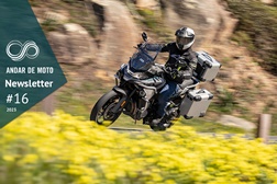 Newsletter nº 16/2023 - 18 de Abril de 2023