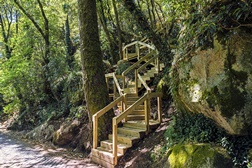 Passadiços de madeira integram percurso entre o Palácio da Pena e Santa Eufémia - Potenciar a fruição da envolvente da Ermida de Santa Eufémia