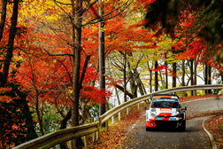 TOYOTA GAZOO Racing vence no Japão, com 3 GR Yaris Rally1 no Pódio - Fechar com “chave de ouro” o Campeonato Mundial de Ralis da FIA