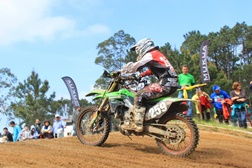 Daniel Pinto
