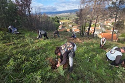 Portugal de Lés-a-Lés: Motociclistas cumprem promessa e plantam árvores autóctones em Chaves