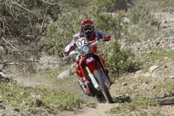 Paulo Gonçalves