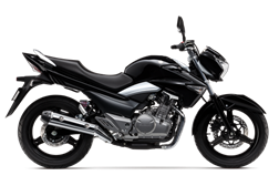 Suzuki GW250 2013