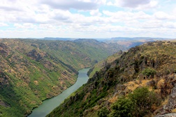 50 anos do dia da Terra - Uma viagem (digital) às maravilhas naturais de Portugal