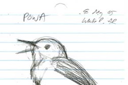 Workshop de Field Sketching (Desenho de Campo) em Aveiro